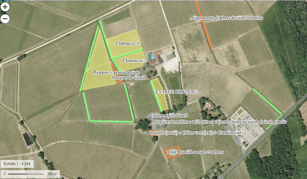 Mise en place de l'agroforesterie dans les parcelles autour du château Anthonic