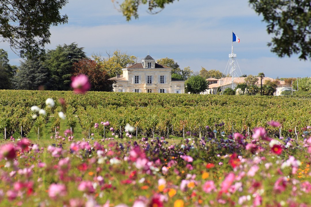 Ch‰teau Montrose, 7 octobre 2010